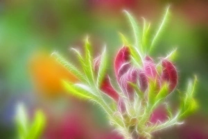 Abstract, Backgrounds