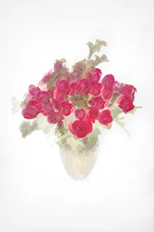 Floral And Botanical Prints: Abstract of bouquet of roses