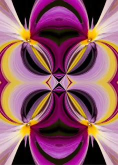 Abstract Prints: Abstract design