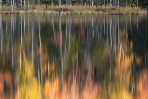Images Dated 29th July 2020: Abstract fall color reflection, Upper Peninsula of Michigan