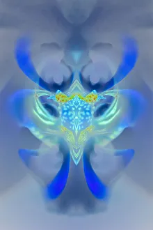 Abstract Hybrid Orchid. Selby Gardens, Sarasota, Florida