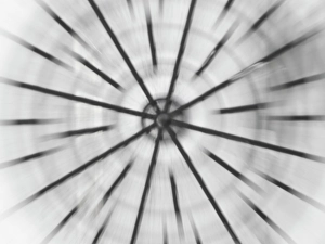 Images Dated 3rd September 2024: Abstract motion blur with black lines and white background