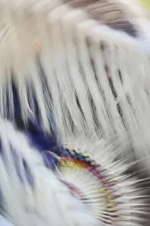 Images Dated 15th July 2007: Abstract motion view of colorfully dressed Native American Indian dance, Montana