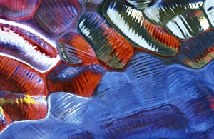 Images Dated 11th March 2011: Abstract Pattern in Glass