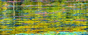 Abstract reflection of Lake Washington. Kirkland, Washington State