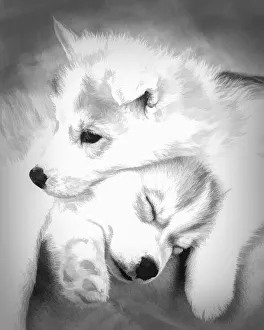 Puppy Prints: Abstract of Siberian husky puppies