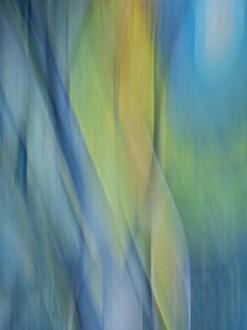 Images Dated 3rd September 2024: Abstract of street art (blurred motion)
