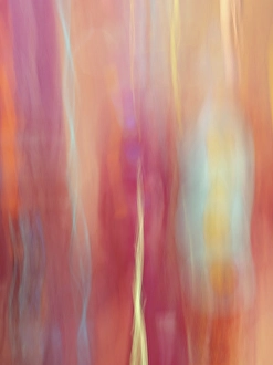 Images Dated 3rd September 2024: Abstract of street art (blurred motion)