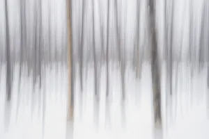 Images Dated 8th March 2023: Abstract winter, Yellowstone