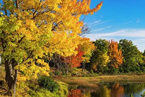 Bar Harbor Prints: Acadia National Park, Duck Pond Road