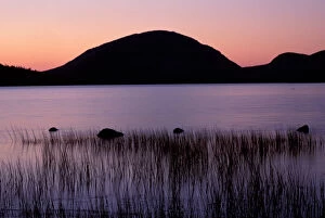 Images Dated 20th March 2007: Acadia N.P. ME. Eagle Lake. Pemetic Mtn. Sunrise