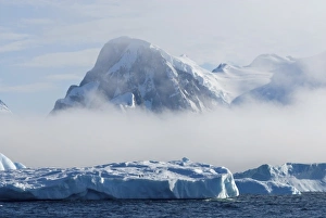 adelie penguins, Pygoscelis Adeliae, on glacial ice along the western Antarctic Peninsula