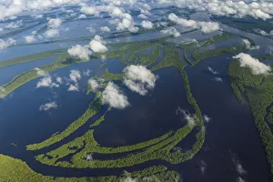 Images Dated 7th July 2013: Aerial of Amazon River Basin, Manaus, Brazil