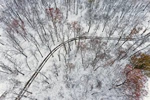 Winding Road Prints: Aerial of forest and road after snowfall, Marion County, Illinois. (Editorial Use Only)