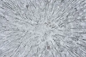 Richard And Susan Day Prints: Aerial of forest after snowfall, Marion County, Illinois. (Editorial Use Only)
