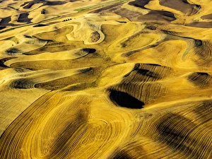 Landscape Prints: Aerial of harvest in the rolling hills of the Palouse