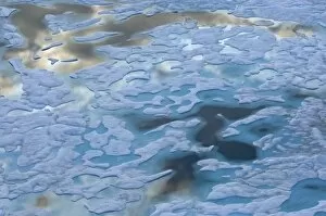 Images Dated 25th July 2006: Aerial of multi-layer ice during summer evening, off National Petroleum Reserves