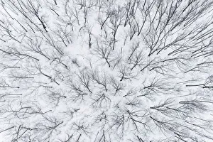 Aerial of snow-covered woods Stephen A. Forbes State Park, Marion County, Illinois
