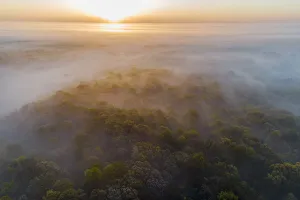 Images Dated 27th August 2020: Aerial sunrise over forest covered with fog in spring Marion County, Illinois