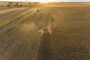 Harvesting Prints: Aerial view of combine harvesting corn field at sunset, Marion County, Illinois