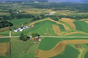 Alfalfa Prints: Aerial view of contour strip farming corn and alfalfa hay in Southwest Wisconsin