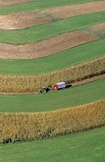 Tractor Prints: Aerial view of contour strip farming corn harvest in Southwest Wisconsin
