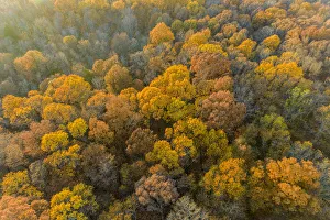 Images Dated 9th June 2021: Aerial view of fall color, Marion County, Illinois