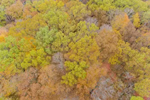 Images Dated 9th June 2021: Aerial view of fall color, Marion County, Illinois