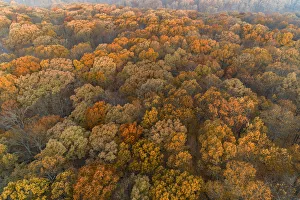 Prints of Aerial View of fall Color at sunrise, Marion County, Illinois Images Dated 2020 May: Aerial View of fall Color at sunrise, Marion County, Illinois
