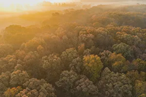 Images Dated 29th May 2020: Aerial View of fall Color at sunrise, Marion County, Illinois