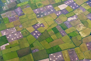 Paddy Prints: Aerial view of farmland, Makassar, Sulawesi island, Indonesia