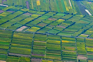 Oasis Prints: Aerial view of farmland, Xinjiang Province, China