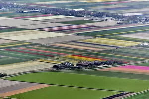 Images Dated 27th April 2008: Aerial view of flower field patterns surrounding Amsterdam, Holland