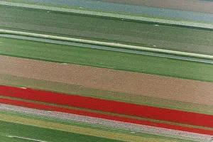 Images Dated 27th April 2008: Aerial view of flower field patterns surrounding Amsterdam, Holland