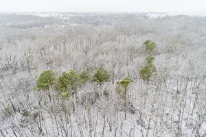 Images Dated 9th June 2021: Aerial view of a fresh snow over the forest, Marion County, Illinois