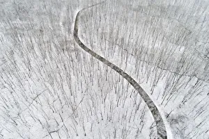 Winding Road Prints: Aerial view of a fresh snow over the forest and road, Marion County, Illinois