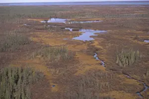 Churchill Prints: Aerial view of frozen tundra near Churchill Northern Studies Centre Churchill Manitoba