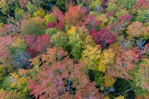 Images Dated 29th May 2020: Aerial view of Hugoboom Lake in fall color, Alger County, Michigan