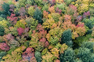 Aerial view of Hugoboom Lake in fall color, Alger County, Michigan