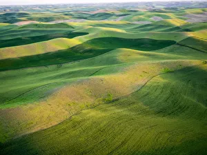 Images Dated 11th June 2015: Aerial view of Palouse Region
