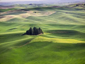 Palouse Prints: Aerial view of Palouse Region