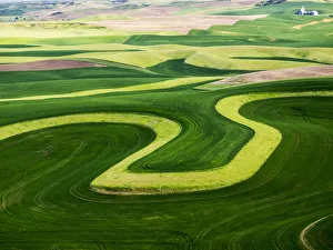 Images Dated 10th June 2015: Aerial view of Palouse Region