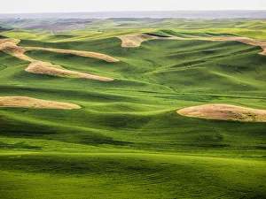 Images Dated 10th June 2015: Aerial view of Palouse Region