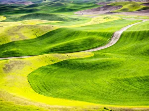 Images Dated 10th June 2015: Aerial view of Palouse Region