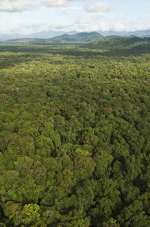Images Dated 11th June 2004: Aerial View of Rainforest Iwokrama Reserve GUYANA South America
