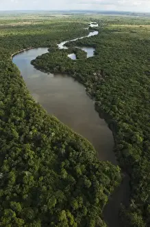 Iwokrama Forest Prints: Aerial View of Rainforest Iwokrama Reserve GUYANA South America