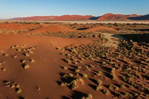 Savanna Prints: An aerial view of red sand dunes and vegetation in the Namib desert