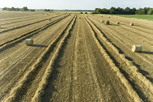 Tractor Prints: Aerial view of rows of wheat straw before baling and round bales, Marion County, Illinois