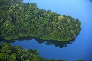 aerial view of tropical lowland forest bordering Lake Gatun, in Soberania National Park