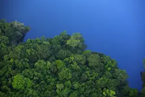 Images Dated 28th February 2007: aerial view of tropical lowland forest bordering Lake Gatun, in Soberania National Park